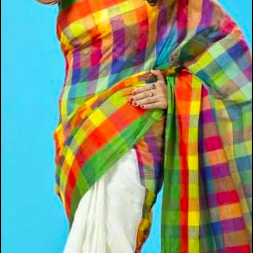 Multi colored saree